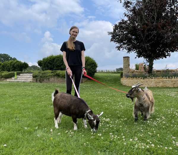 Petsitting goats